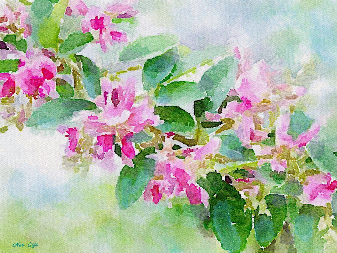 Twoucan 萩の花 の注目ツイート イラスト マンガ