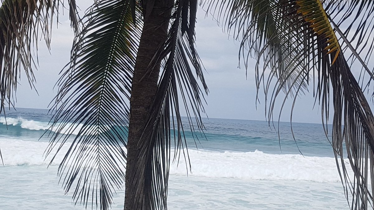 SurfersPR's tweet photo. #Surfing #Bodyboarding #PuertoRico #WeArePuertoRico https://t.co/jyBqZvjICz