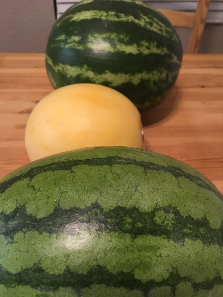 BeigeOnBeige's tweet photo. Here’s the score:
$2 Watermelon
$1 Orangedew (hybrid #RareMelon)
$2 Watermelon
That’s right — just $5 total for THAT much melon
Don’t let anyone fool you into thinking the season (of #AffordableMelons) is over https://t.co/sQufXABgHb