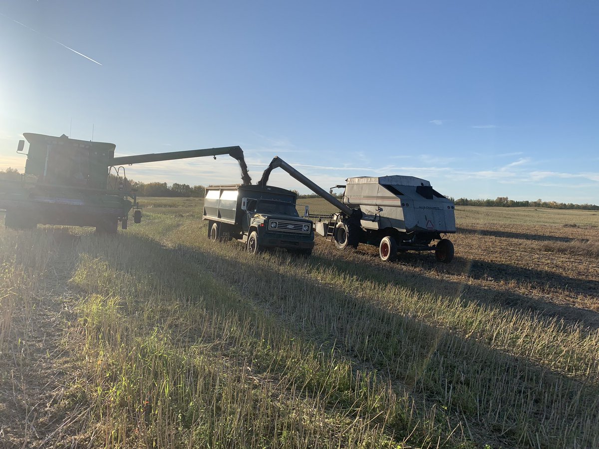 A little DP!  Dry canola, so awesome!