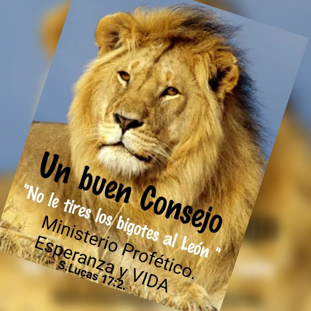 prbenedetti's tweet photo. https://t.co/0zhvP6UnrG