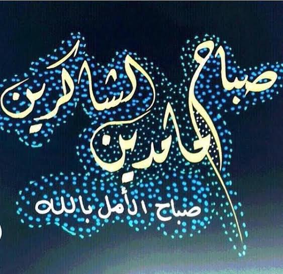حجي كريم ألزيادي tweet media