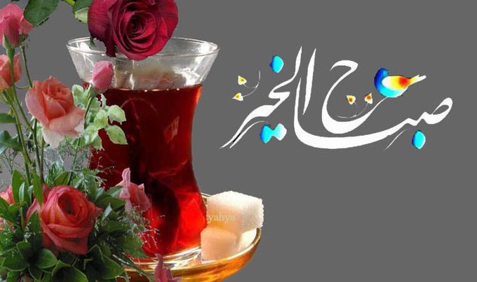 سيد يحيى الحسيني tweet media
