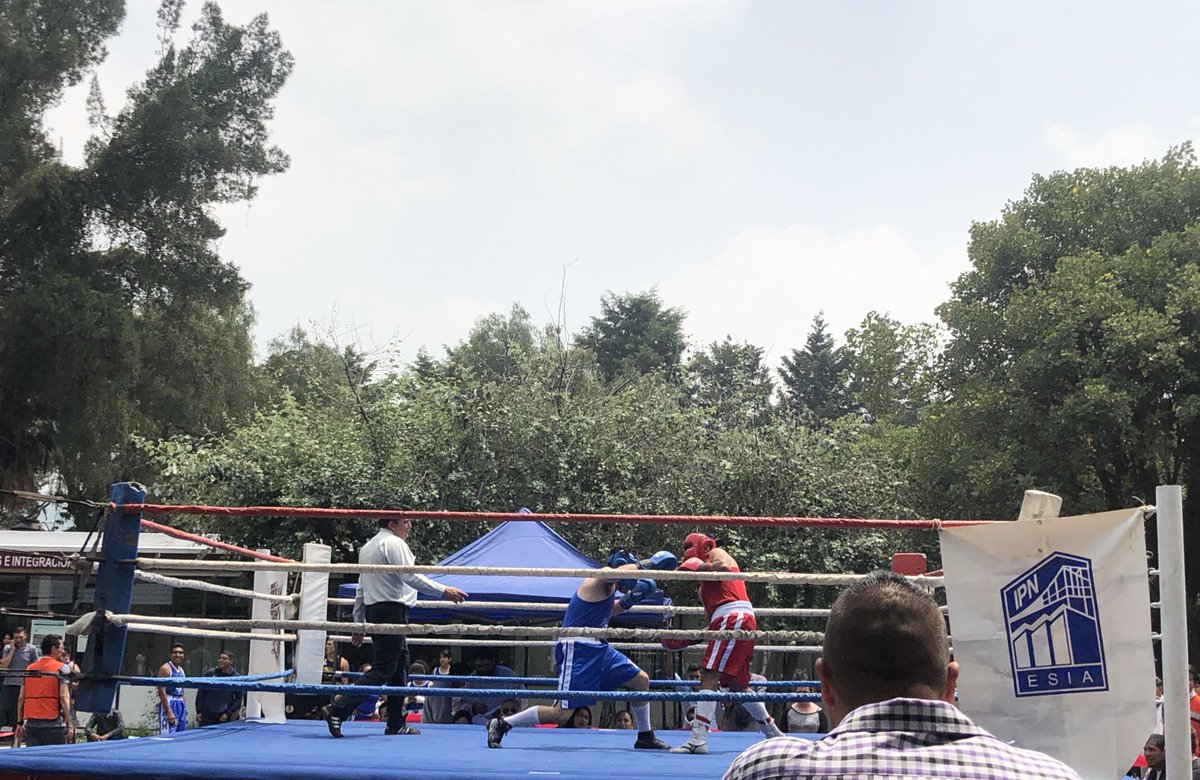 Stephany_Alejo's tweet photo. #clásicouniversitario Box amateur #UNAM 🆚 #IPN 👌🏻🥊 https://t.co/kBYyHKRxva