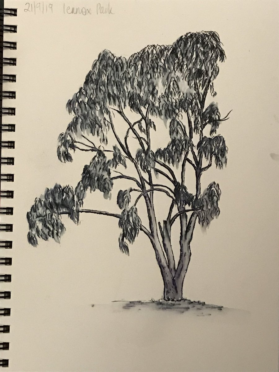 faceoffsydney's tweet photo. plein air painting at Lennox park in Blaxland. Had a lovely morning with pencil, pen and wash. #faceoffsydneyart #pleinair #sketching https://t.co/qhbIuDDm6T