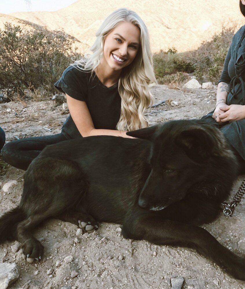AshWilke's tweet photo. always fun visiting @wolfconnection - an organization who educates and empowers at-risk youth through the guidance of rescued wolves and wolf-dogs 🐺 #wolfconnection #wolves https://t.co/aQzOWonKPy