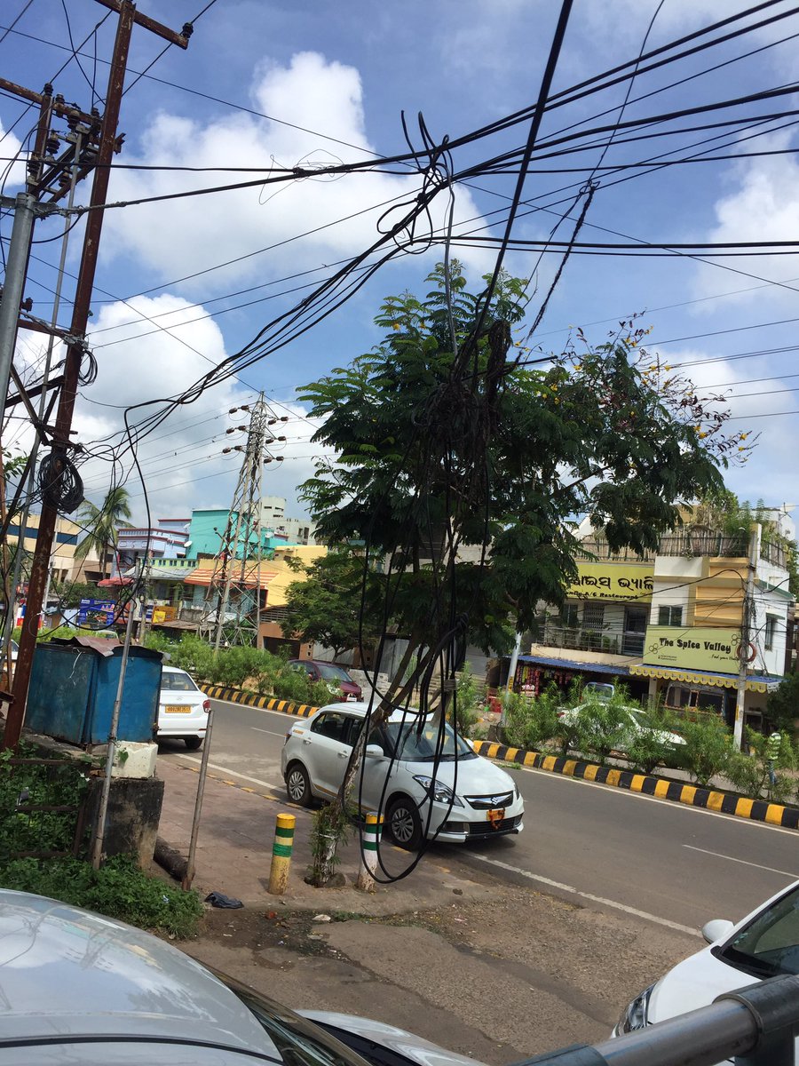 Anwesha Ambaly tweet media