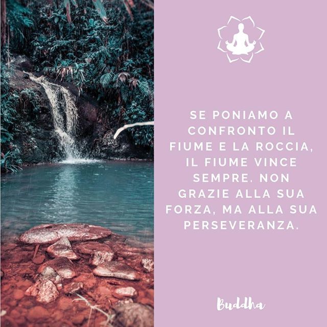 Meditazione Zen Twitterren Meditazionezen Meditazione Aforismi Aforisma Frasi Ispirazione Saggezza Citazioni Meditare Cambiamenti Crescitapersonale Like4like Buongiorno Motivazione Felicita Frase Frasedelgiorno Frasi Sicambia