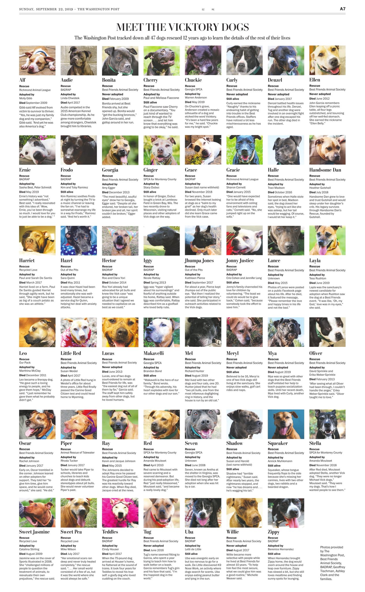 Emily Giambalvo On Twitter Every Single Part Of Me Still Thinks