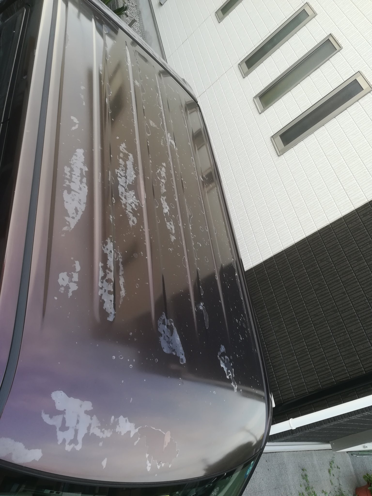 Balijin 軽自動車のルーフのクリアが剥がれてきています 板金塗装をしてくださるかたおりませんか 埼玉県からです 宜しくお願いいたします Daihatsu ダイハツ 板金 塗装 自動車 自動車修理 自動車板金 車 T Co 35uponwxa6 Twitter