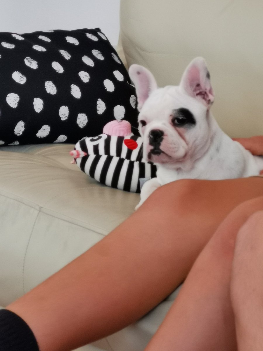 Cameron McConville tweet media