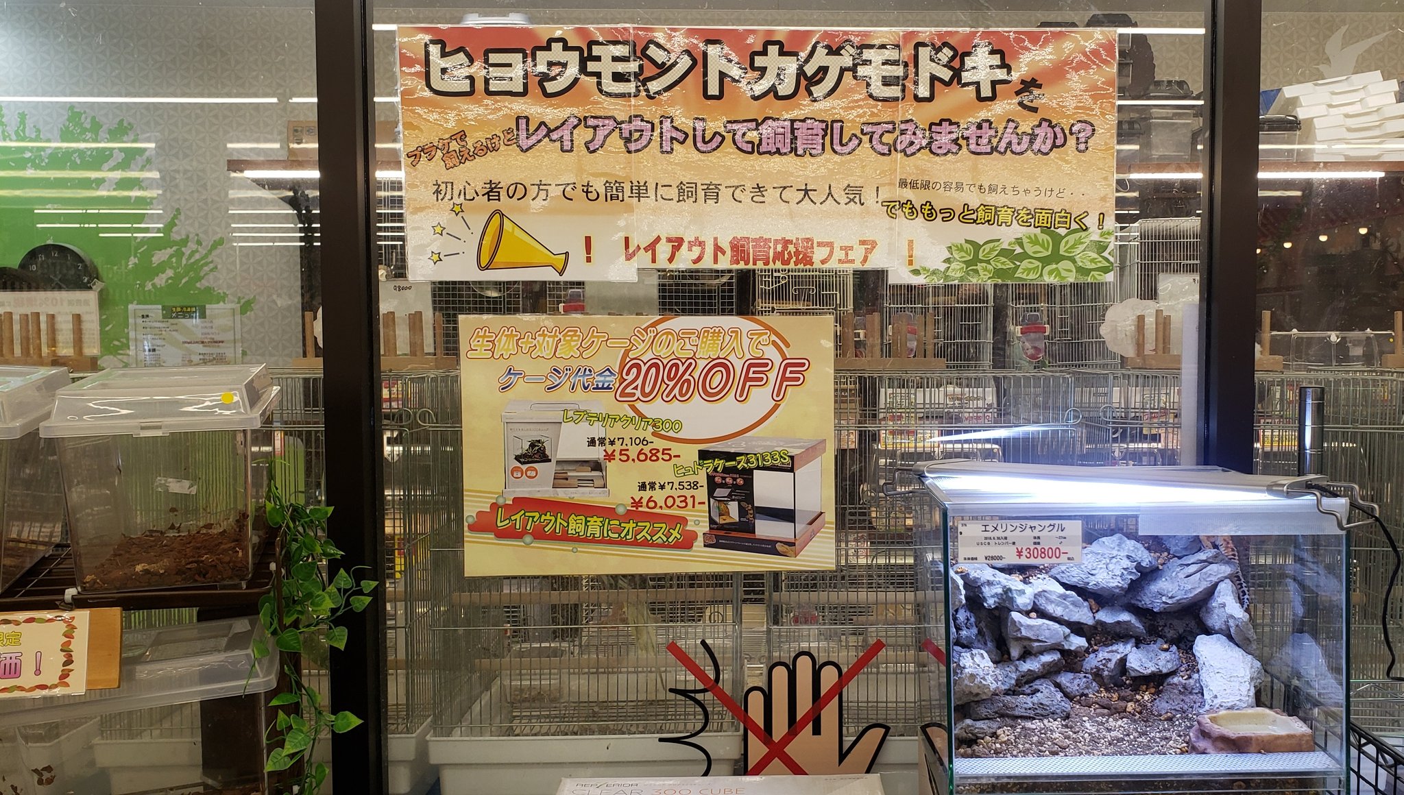 アミーゴ金沢おこばた店 Ar Twitter ヒョウモントカゲモドキをプチレイアウトして飼育してみましょー ってことで特設コーナー建設中です 簡素に飼えちゃうレオパちゃんだけど もっと飼育を面白く レイアウトにおすすめなケージ割引します 今日はちゃちゃっと アミーゴ金沢おこばた店 Ar Twitter ヒョウモントカゲモドキをプチレイアウトして飼育してみましょー ってことで特設コーナー建設中です 簡素に飼えちゃうレオパちゃんだけど もっと飼育を面白く レイアウトにおすすめなケージ割引します 今日はちゃちゃっと