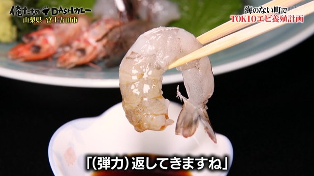 Tokioついにカレーのために養豚を しかし豚コレラで断念 なぜか山梨にメキシコを再現しバナエイエビの養殖を始める 鉄腕dash 2ページ目 Togetter Tokioついにカレーのために養豚を しかし豚コレラで断念 なぜか山梨にメキシコを再現しバナエイエビの養殖を始める 鉄腕dash 2ページ目 Togetter