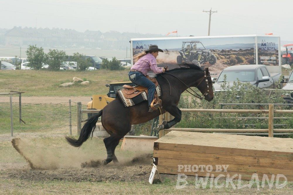 Special Edition - Canadian Horse Wellness Expo 2019Read all about it!! conta.cc/30zvDDQ
