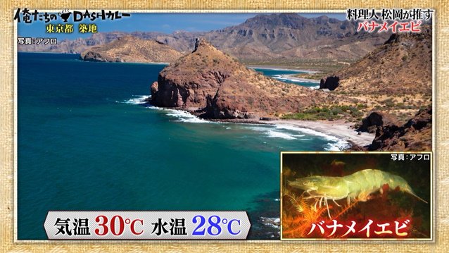 Tokioついにカレーのために養豚を しかし豚コレラで断念 なぜか山梨にメキシコを再現しバナエイエビの養殖を始める 鉄腕dash 2ページ目 Togetter