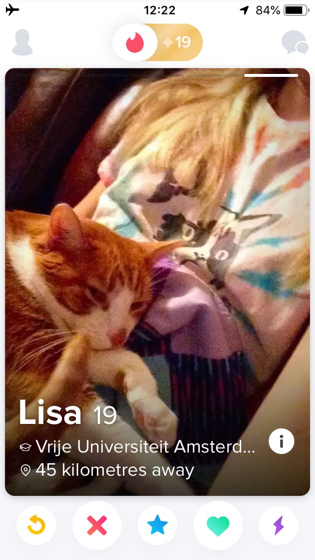 Tinder for cats