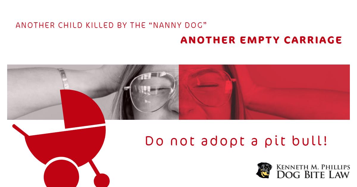 DogBiteLaw's tweet photo. WHERE'S YOUR COURAGE? Another baby has been brutally killed because the public lacks the courage to say "Do Not Adopt a Pit Bull!" #DoNotAdopt #DangerousDogs #DogBiteLaw #Dogs #BSL #BanTheBreed #Pitbulls https://t.co/R08fUgeiLh