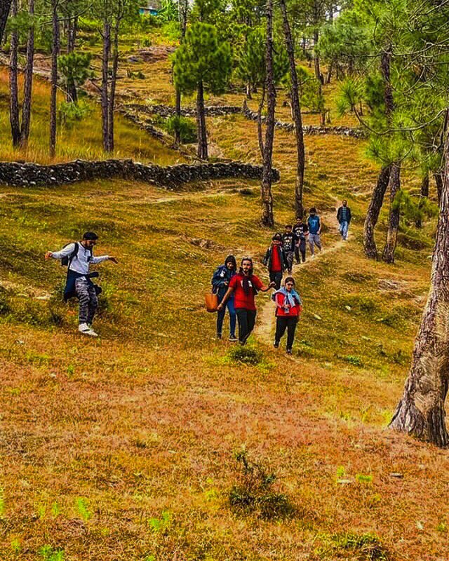 And into the forest I go, to loose my mind and find my soul🌹🌹🌹 #trekking #jungle #thehipsters #thehipsterscafe #hippie #hippiestyle #gypsy #hotshostel #kasar #uttarkhand #nainital