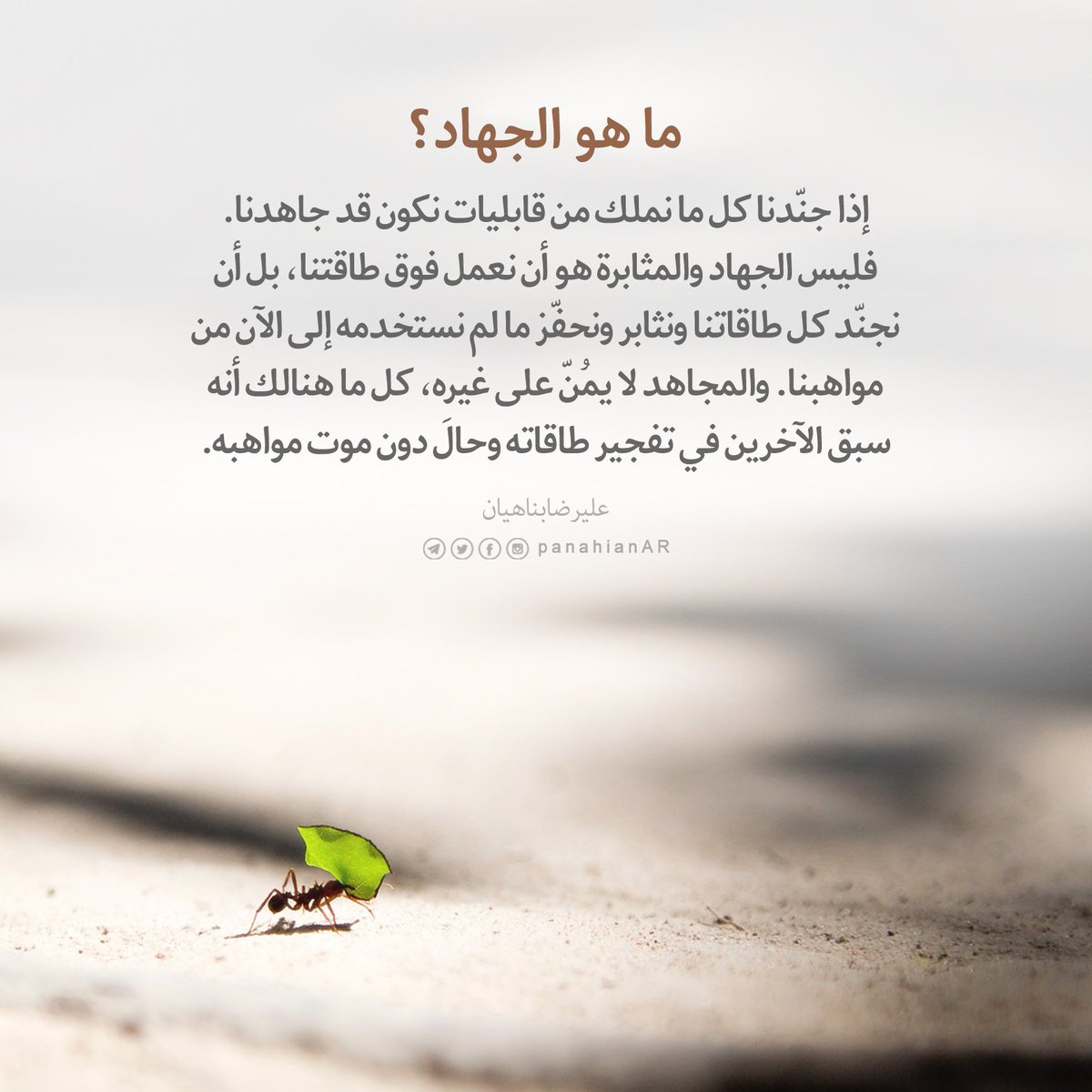 إذا جنّدنا كل ما نملك من قابليات نكون قد جاهدنا. فليس الجهاد والمثابرة هو أن نعمل فوق طاقتنا، بل أن نجنّد كل طاقاتنا ونثابر ونحفّز ما لم نستخدمه إلى الآن من مواهبنا. والمجاهد لا يمُنّ على غيره، كل ما هنالك أنه سبق الآخرين في تفجير طاقاته وحالَ دون موت مواهبه.
#علیرضا_بناهیان