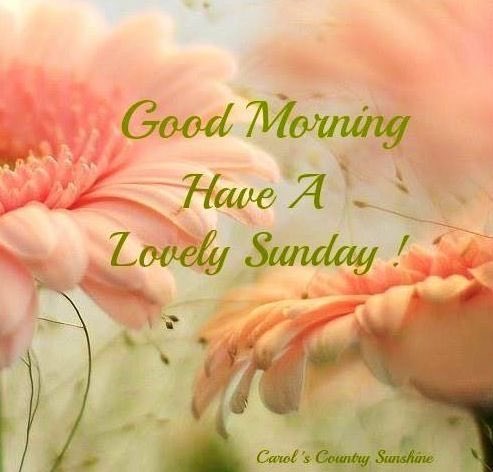 CWengaard's tweet photo. Good morning to all my twitter friends.Wishing you all a peaceful and nice sunday๐๐๐๐ #goodmorning #haveanicesunday #sunday #havealovelysunday #godmorgen #haenfinsรธndag #kosdeg https://t.co/7rxlX0nRAC