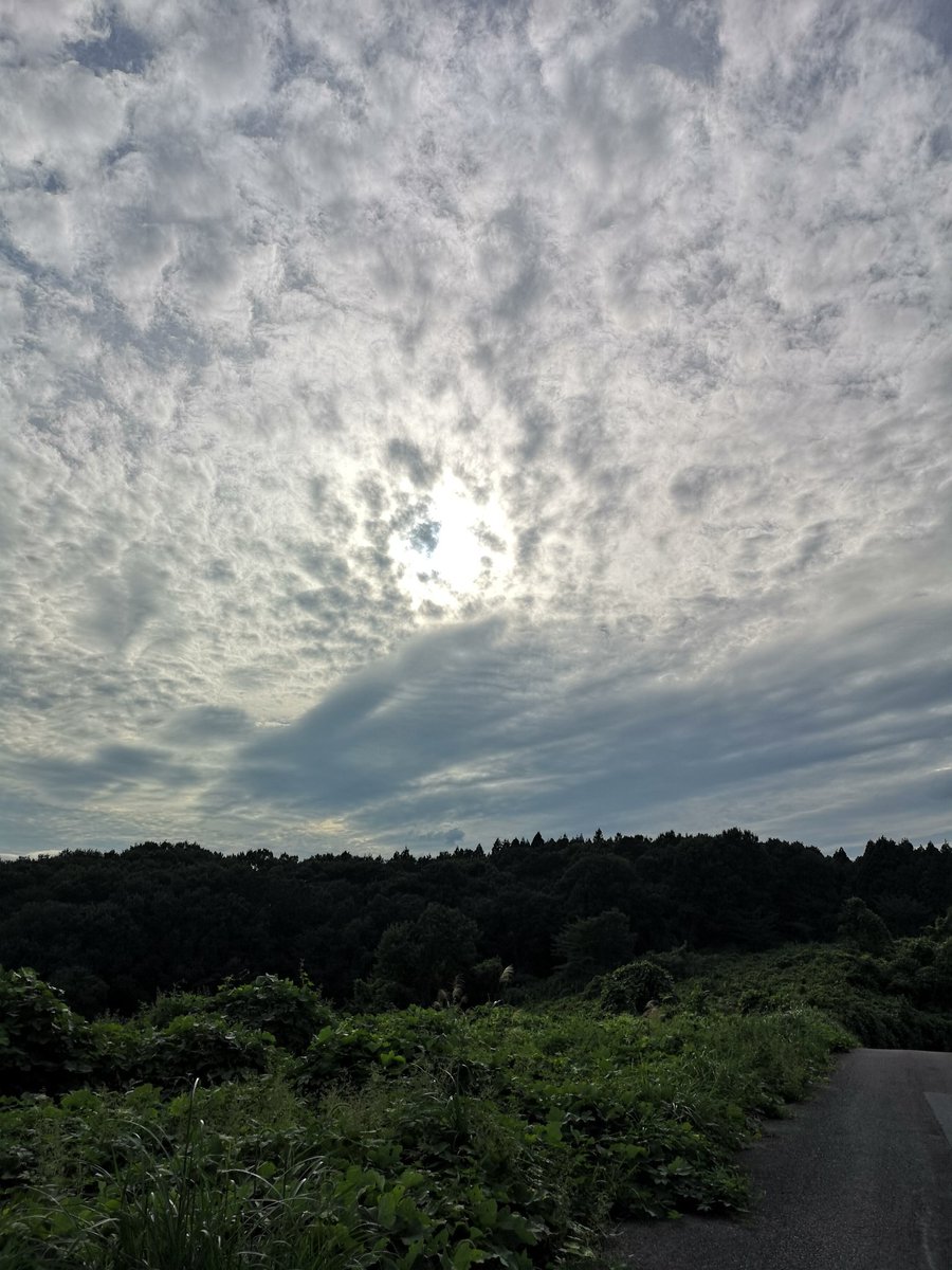 XprivateworksX's tweet photo. なんか山の中に迷い込んで(^_^;)
#イマソラ
#イマソラ
#NowPlaying
#ThirtySecondToMars
#walkonwater https://t.co/KBXrtlVQyr