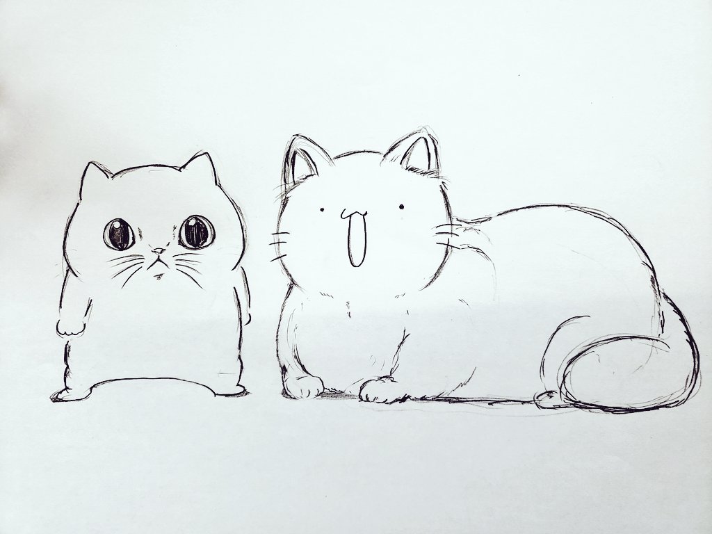 いにょい からめるさん 猫 落書き からめるさんと普通の猫を Snowの顔交換の機能 使って写真を撮った結果 イメージ