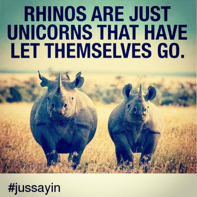 #WorldRhinoDay2019
