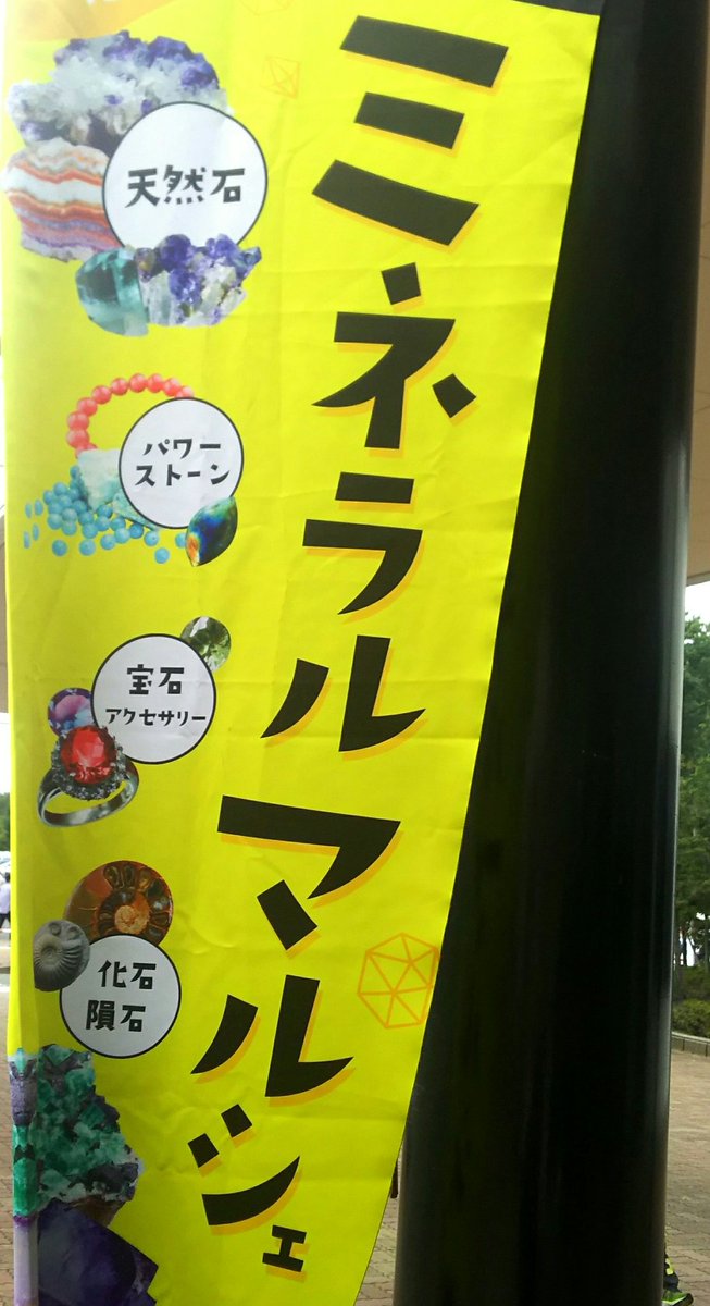 たくさんお買い物をしてきました 