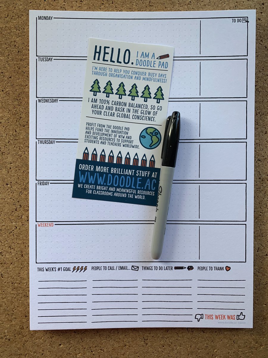 doodle education tweet media