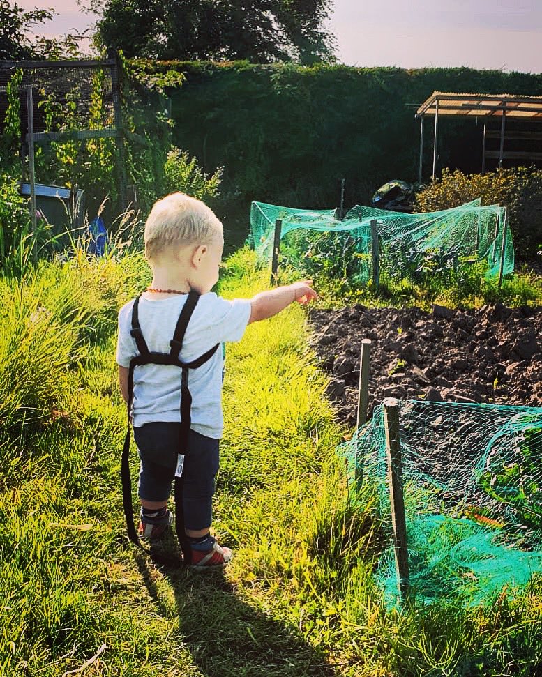 DansPlot's tweet image. What’s all this mud dad... where’s the vegetables gone 🤷🏻‍♂️