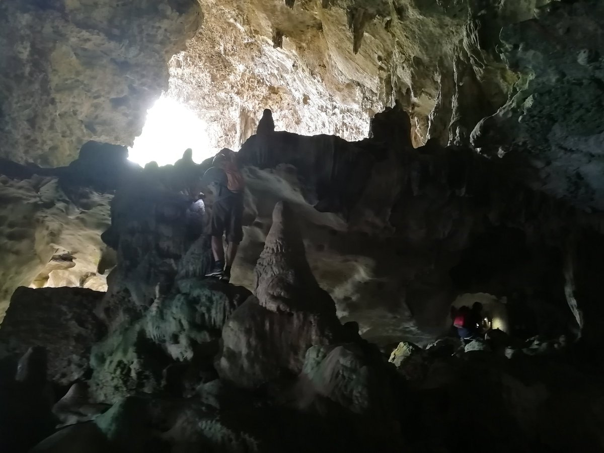 Maximilian Hansen (@drmaxhansen) on Twitter photo Had a pretty good start exploring the caves of Niue with the <a href="/SpeleoQuest/">Speleo QUEST</a> team today. What a scenery to work in! <a href="/wegeochem/">Adam Hartland 🔋⚡️</a> <a href="/OlaKwiecien3/">Ola Kwiecien</a> <a href="/Caves_Rocks/">Cinthya Nava</a> Had a pretty good start exploring the caves of Niue with the <a href="/SpeleoQuest/">Speleo QUEST</a> team today. What a scenery to work in! <a href="/wegeochem/">Adam Hartland 🔋⚡️</a> <a href="/OlaKwiecien3/">Ola Kwiecien</a> <a href="/Caves_Rocks/">Cinthya Nava</a>