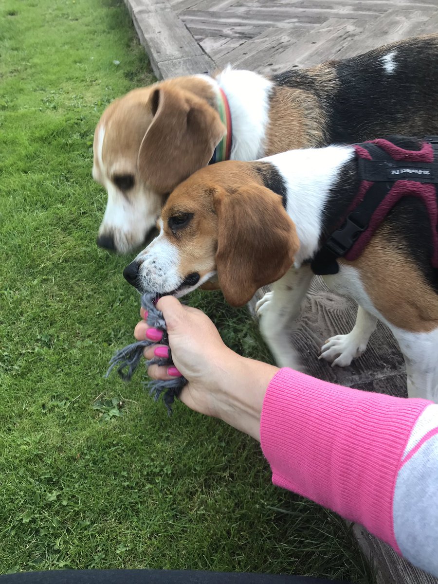 Me and Alvin inspecting his work of removing the tassels from mums new cushions 🙌🏻🙌🏻🙌🏻🙌🏻🙌🏻
