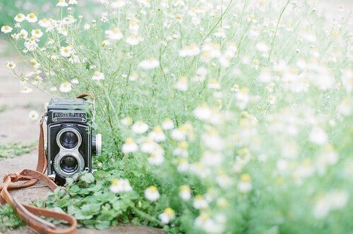 💖 tweet media