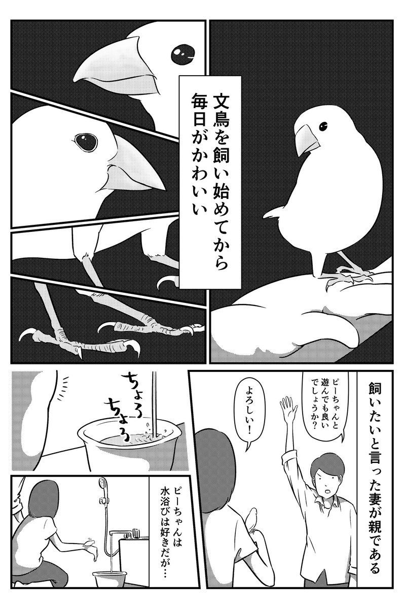 毎日がかわいいで溢れてる 