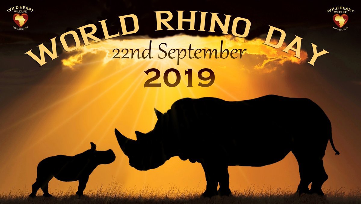 Wildlifeatheart's tweet photo. World Rhino Day 2019
Sunday, 22 September is #WorldRhinoDay2019.
It is a day on which we celebrate having these precious grey dinosaurs in our world. Rhino horn is NOT medicine and "No one in the world needs a Rhino horn, but a Rhino"  #StopPoaching #ExtinctionMeansForever #WHWF https://t.co/IN2AxMyfPw