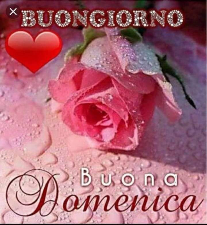 Santa Domenica a tutti voi amici !!!