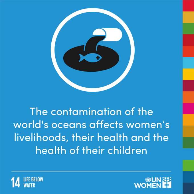 UN_Women's tweet photo. Women need a key role in marine conservation, so that they can protect their livelihoods and families as well as the planet by taking #ClimateAction. 

Find out more: https://t.co/vV3LoeoHNL #UNGA https://t.co/Ou4DufAltf
