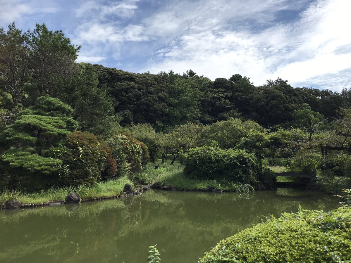 hirochan2014's tweet photo. 都会の中の自然に触れてきた https://t.co/AQVCzVPjBk