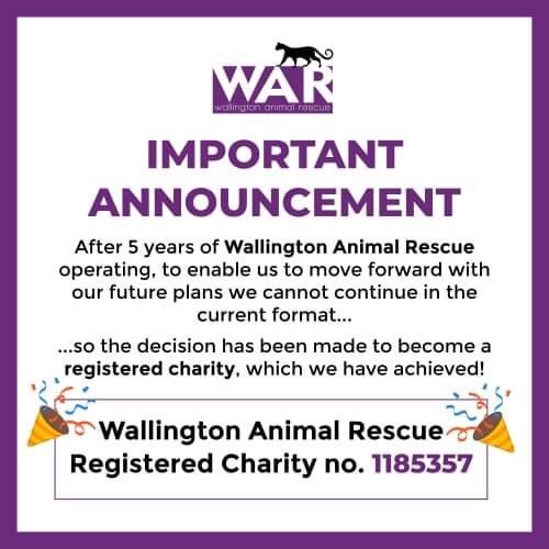 We at #TeamWAR have exciting #news... 🐱🎉 🤩🌟 We are now a registered charity! #animalrescue #cats #dogs #Wallington #sutton #Croydon #registeredcharity