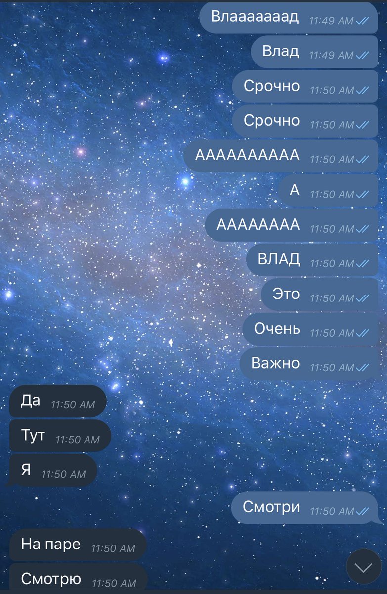капітан аня tweet media