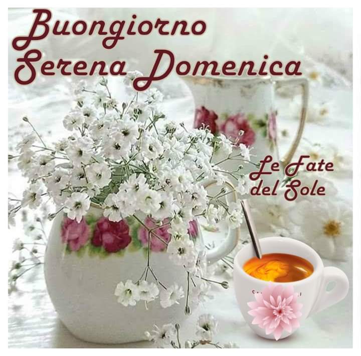 Le Fate Del Sole Buona Domenica Immagini Nuove