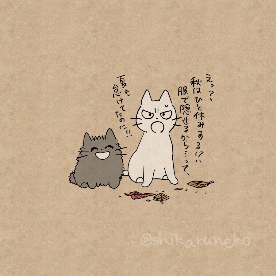 夏が終わるとダイエットを諦める人と、しかるねこと、あまやかすねこ 