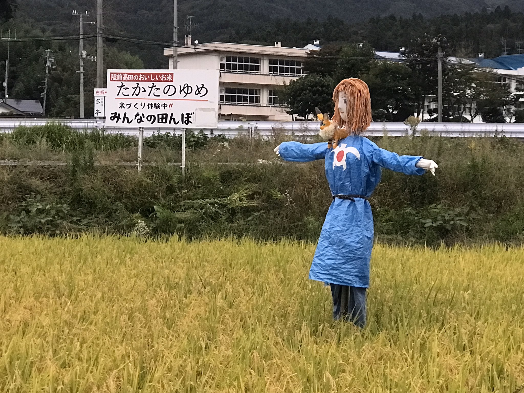 田んぼにナウシカをモチーフにしたカカシを立てた結果 なんか予言通りみたいな感じになった 話題の画像プラス 田んぼにナウシカをモチーフにしたカカシを立てた結果 なんか予言通りみたいな感じになった 話題の画像プラス