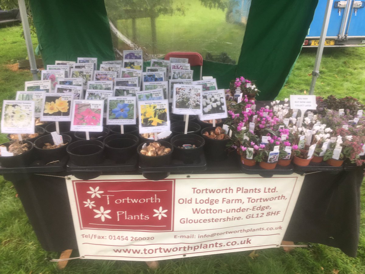 Tortworth Plants Ltd Tortworthplants Twitter