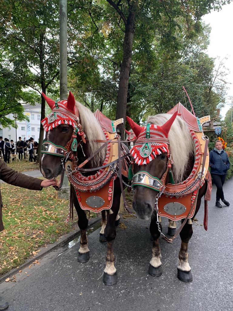 BayerischerJagdverband (@jagdverbandbjv) on Twitter photo Jetzt geht's los: Trachten-u. Schuetzenzug 2019 mit den Bayerischen Jägern & unserer #Jagdkönigin Lisa. Jetzt geht's los: Trachten-u. Schuetzenzug 2019 mit den Bayerischen Jägern & unserer #Jagdkönigin Lisa.
