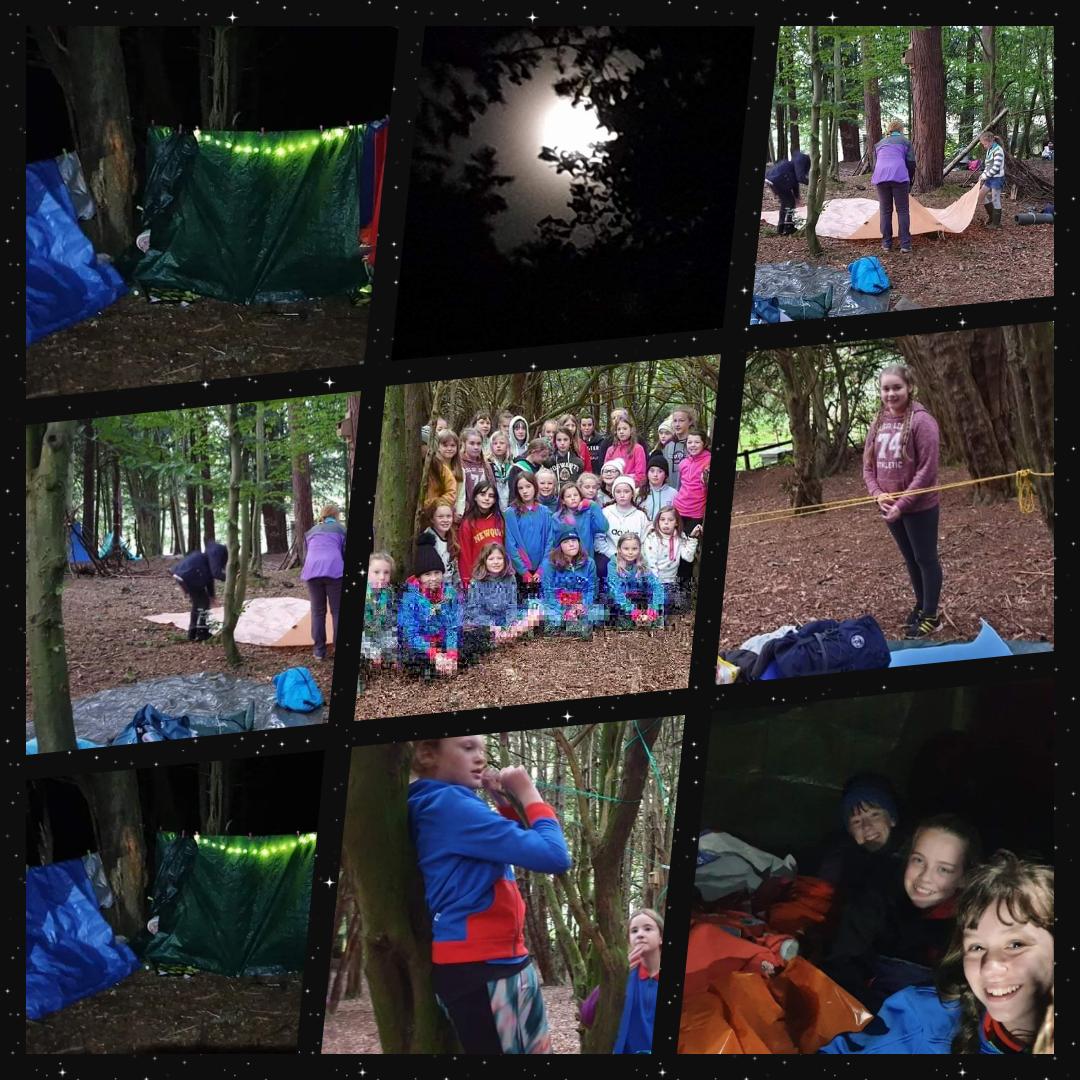 MORPETH DIVISION Girlguides tweet media