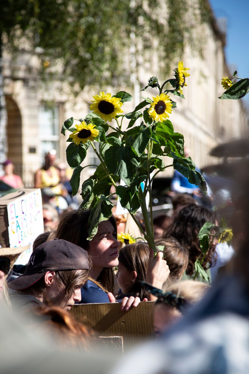 Bath Youth Climate Alliance tweet media