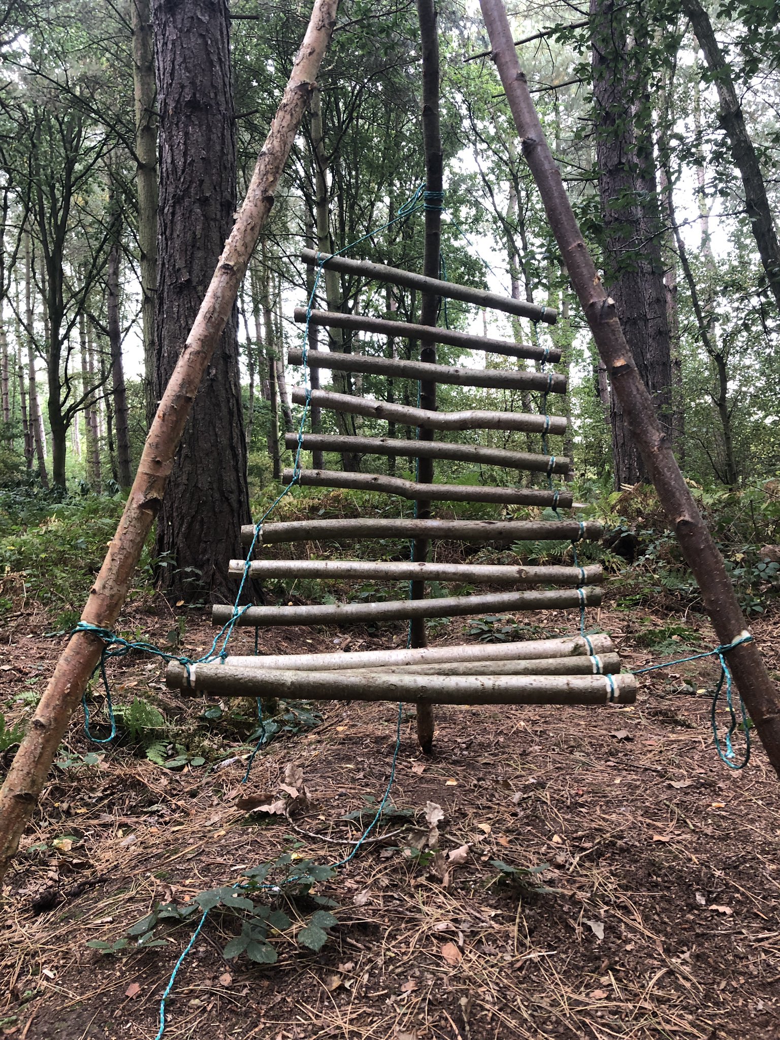 Bee Outdoors on X: A bushcraft chair project I made over the weekend.  Skills are learned be experimenting. #bushcraft #skills #wildcamping  #KNOWLEDGE #getoutside #bushcraftskills #outdoorsman #outdoors   / X