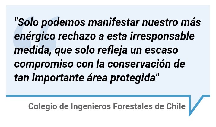 cifag_araucania's tweet photo. Expertos forestales entregan su apoyo al director de Conaf que renunció por búsqueda de "tesoro" en Juan Fernández https://t.co/2PRRGEdnxO vía @emol https://t.co/ztyBJJlTXX