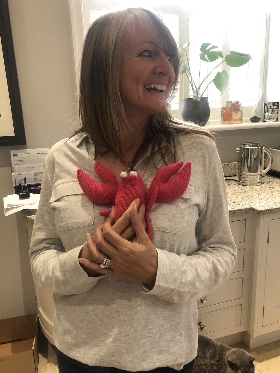 GeoPlumpy's tweet photo. I knitted my mum a lobster for her bday and I think she likes it 🦞 https://t.co/g4XBa39hfE